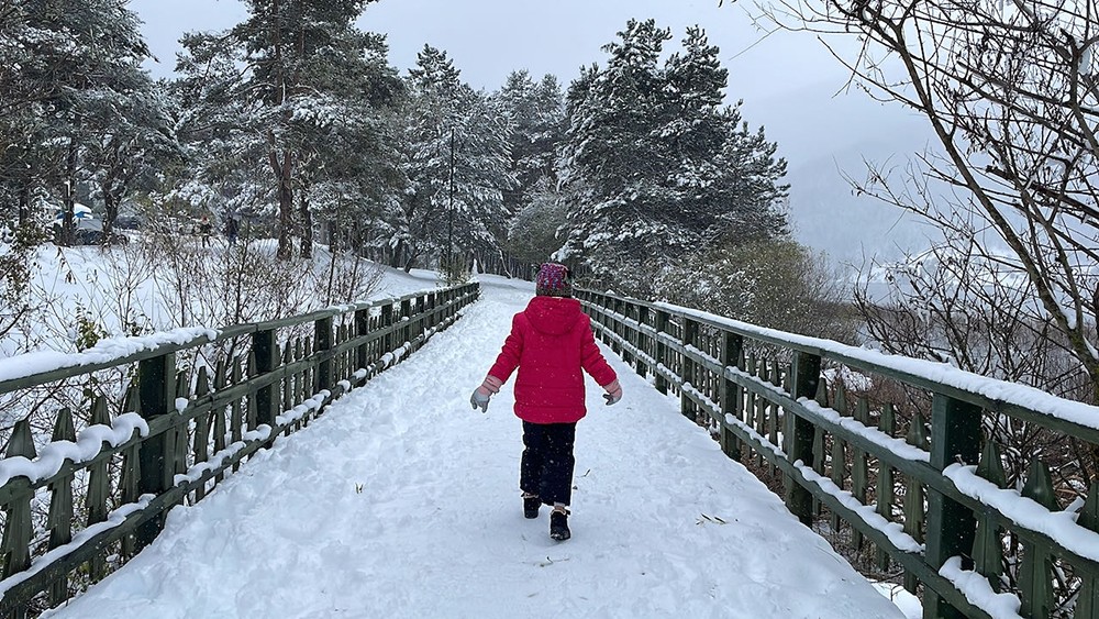 Abant'a bir de böyle bakın! Kar yağışı etkili oluyor!