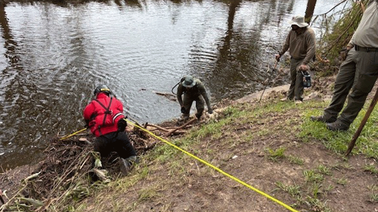 ABD aciz kaldı: Ölü sayısı 131'e yükseldi!