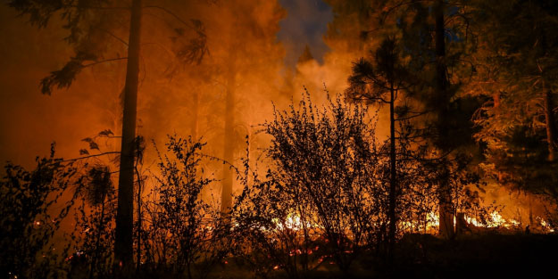 ABD alev alev yanıyor! 400 bin dönümden fazla alan kül oldu