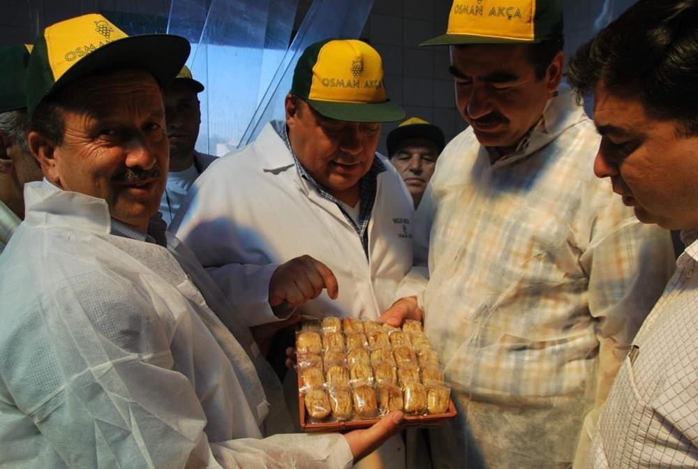 ABD başı çekiyor! Bu meyve ihracat rekoru kırdı