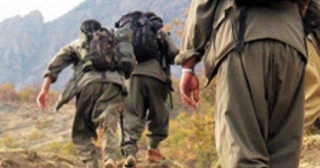 ABD dergisinden PKK'ya talimat gibi makale