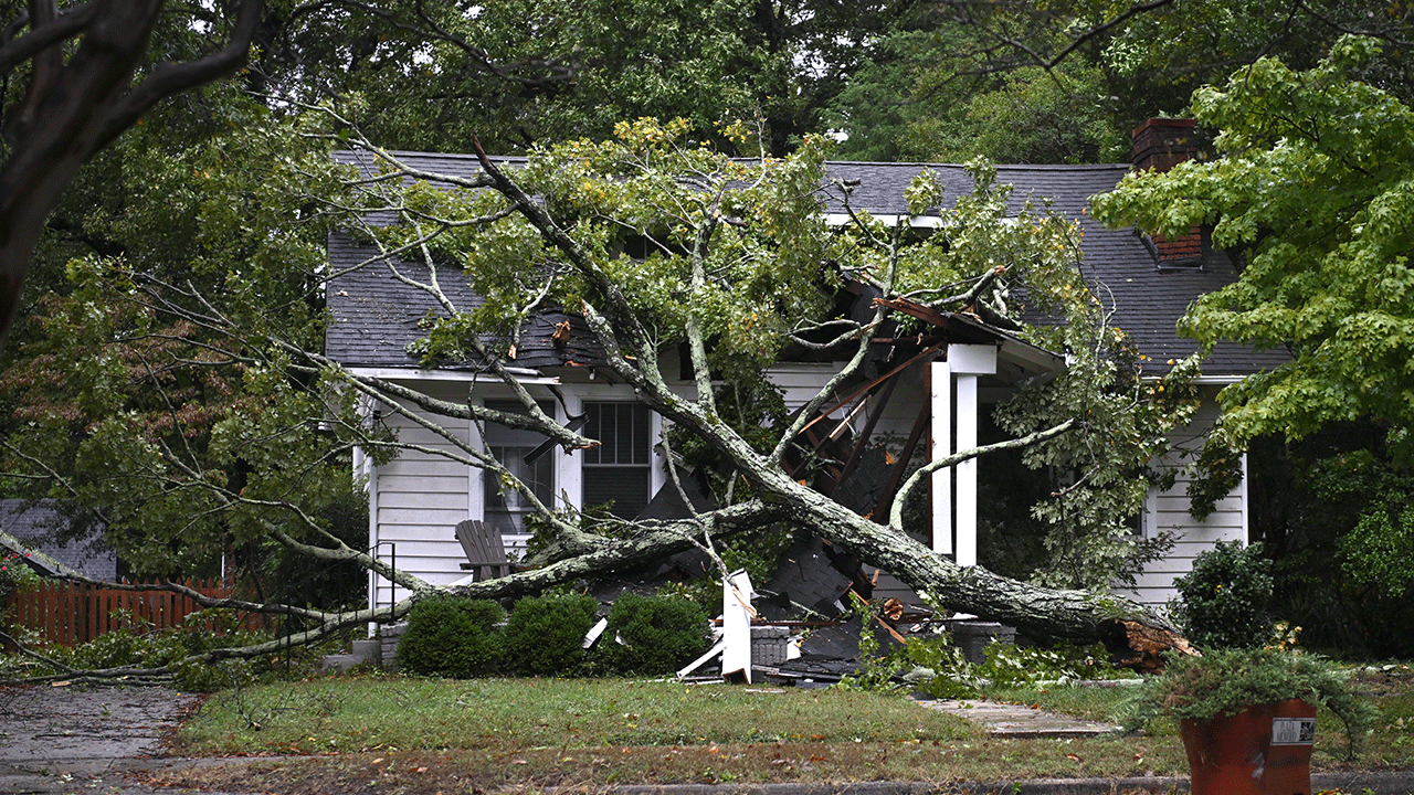 ABD felaketi yaşıyor! Ölü sayısı 90'a çıktı