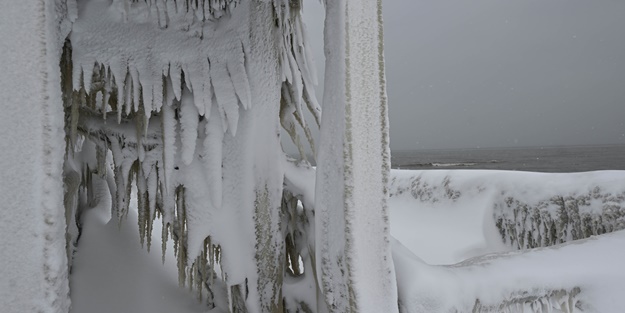  ABD felaketi yaşıyor! Ölü sayısı arttı