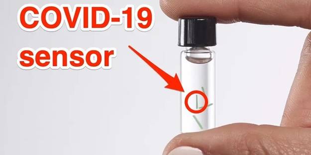 ABD, korona için mikroakışkan çip geliştirdi! Aşı ve PCR testi gibi 'çip zorunluluğu' gelir mi?