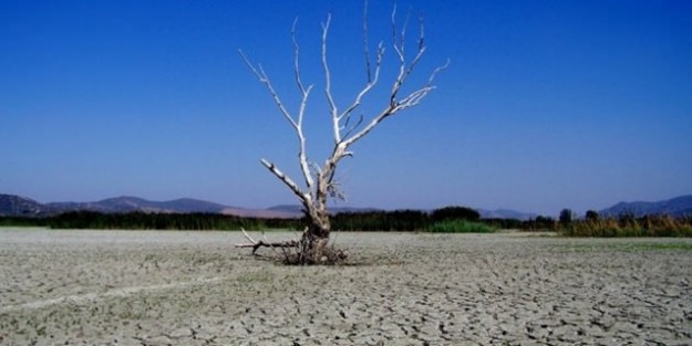 ABD, mega kuraklık tehlikesiyle karşı karşıya