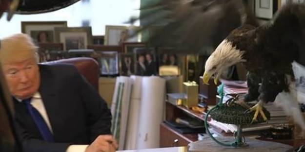 Trump'a hayatının şoku!