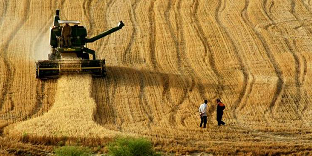 ABD Türk tarımını bitirdi! CIA belgelerinde ortaya çıktı, Türkiye ayağa kalkacak