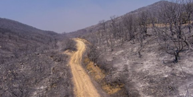 ABD Yunanistan'ı resmen sattı! Biz bu kadar güvenmeyin demiştik
