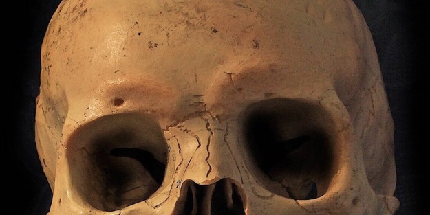 ABD'de 8 bin yıllık kafatası bulundu