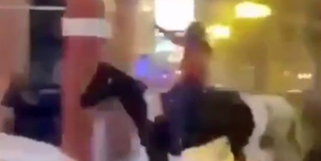 ABD'de bir eylemci polisin atını böyle kaçırdı