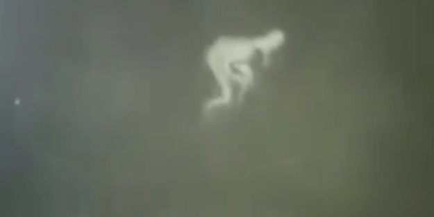 ABD'de bir gizemli yaratık güvenlik kameralarına yakalandı! Dünyayı sarsan yaratık Gollum'a benzetildi