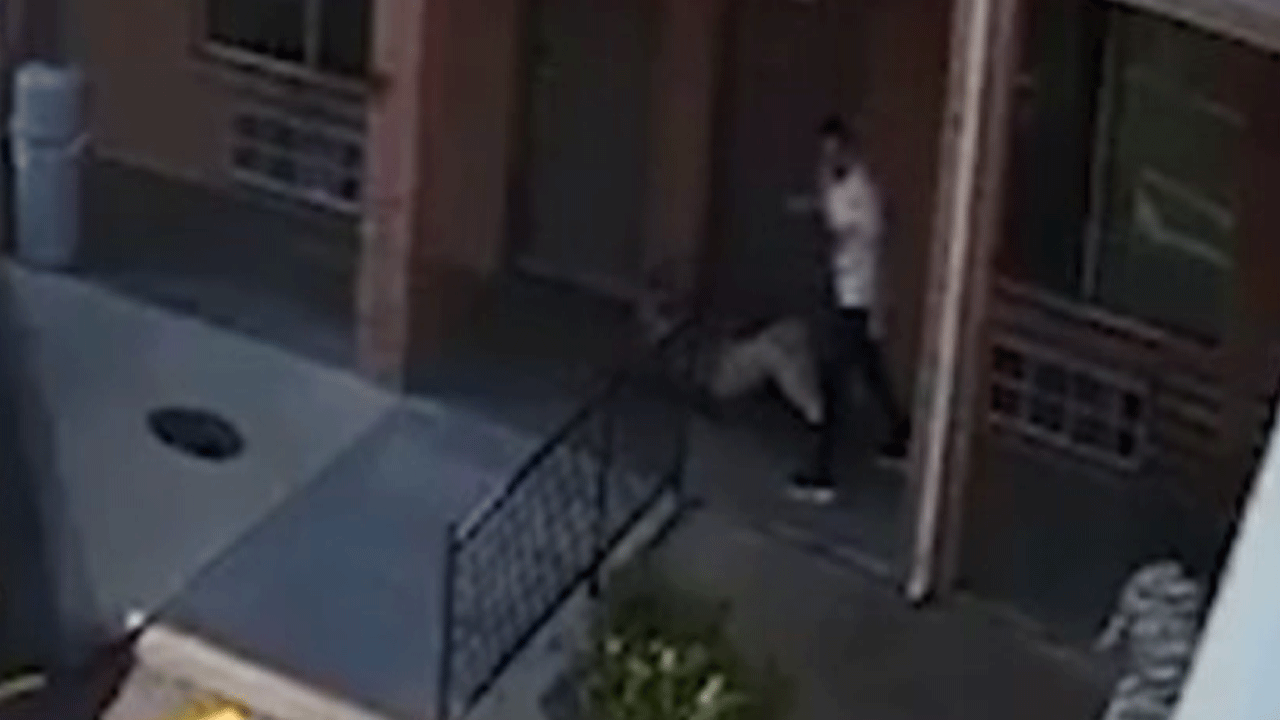 ABD'de bir korkunç cinayet daha : Kafasını kesip çöpe attı!