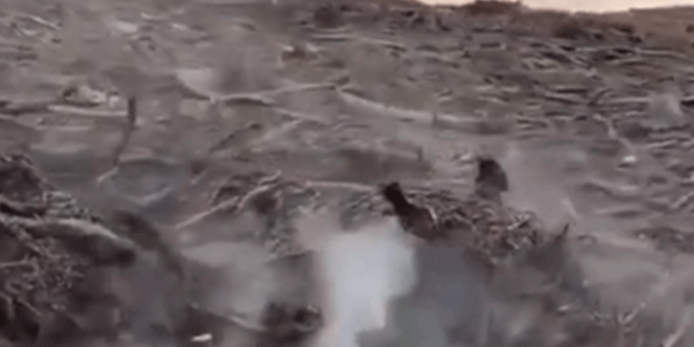 ABD'de drenaj kanalından akan siyah çamur ürküttü