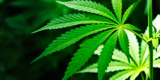 ABD'de 'esrar' kararı!