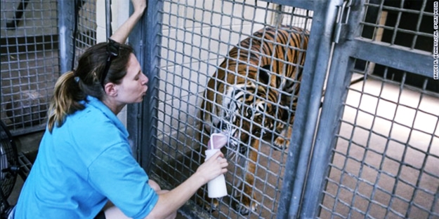 Kaplan bakıcısını öldürdü!