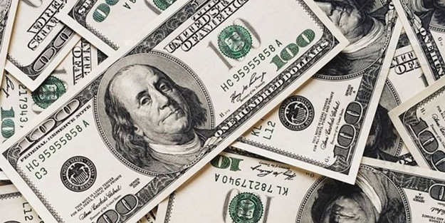 ABD'de köpeğe sahibinden 5 milyon dolar miras kaldı