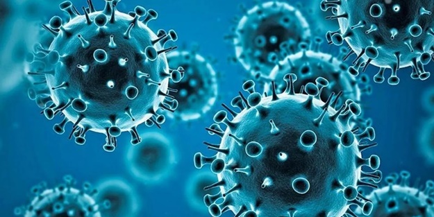 ABD'de kritik iddia: Yeni bir tür oluşturuldu