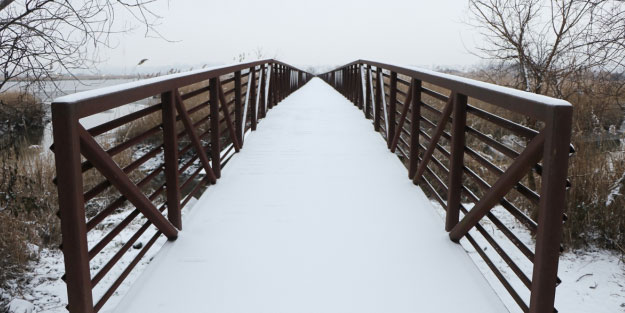 ABD'de kutup soğukları can aldı