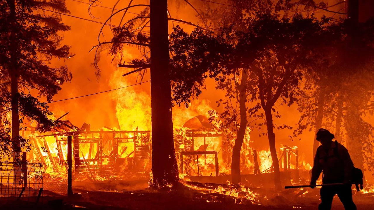 ABD’de orman yangını bilançosu açıklandı