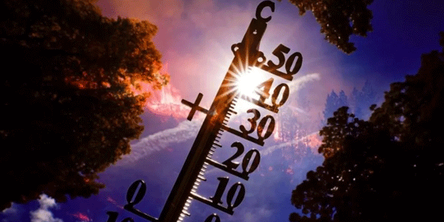 ABD’de sıcak hava dalgası: 14 ölü