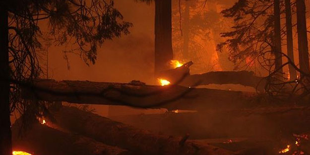 ABD'de yangın alarmı