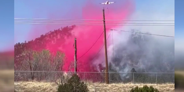 ABD’de orman yangını: 2 ölü