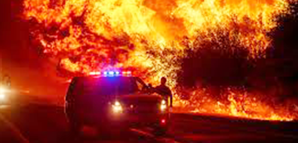 ABD'deki orman yangınları şiddetleniyor