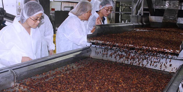 ABD'den almaktan vazgeçtiler!