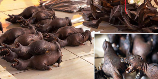 ABD'den Çin'e ültimatom: Virüs yuvalarını kapatın