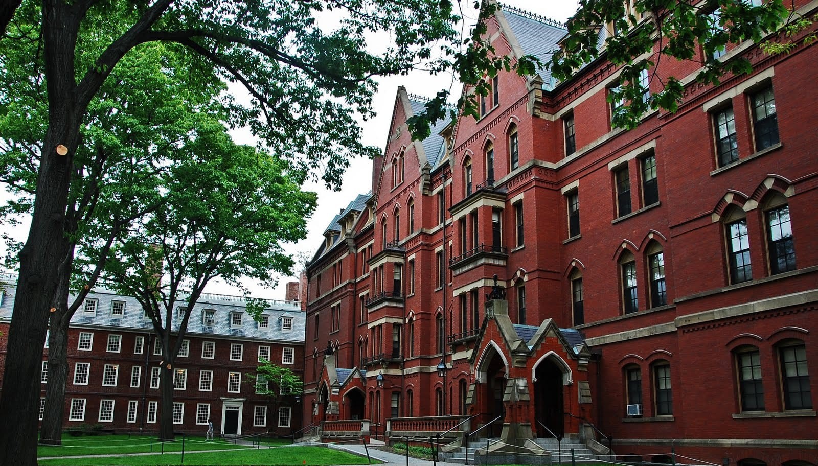ABD'den Harvard'a 