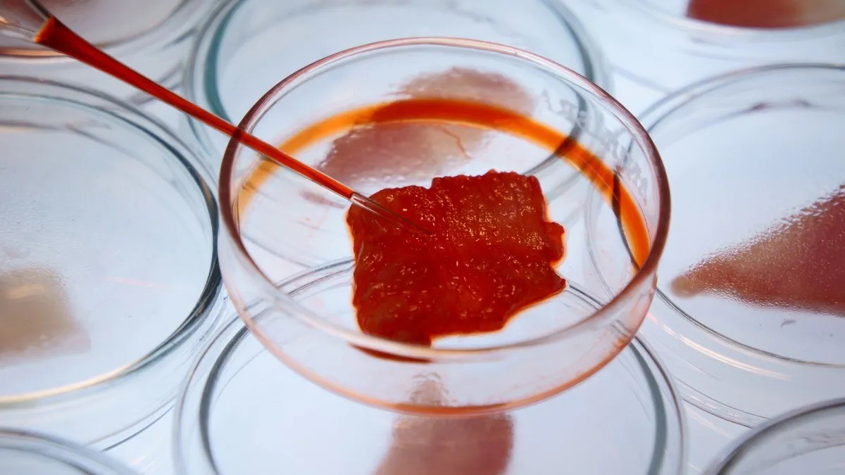 ABD'den şok karar! Yapay et satışının önü açıldı