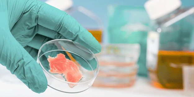 ABD'den yapay ete onay