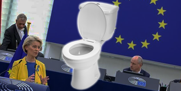 AB'den o ülkeye klozet yasağı!