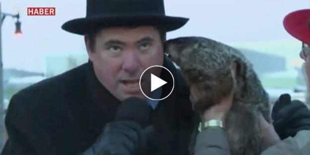 ABD'li başkanı köstebek ısırdı/ VİDEO