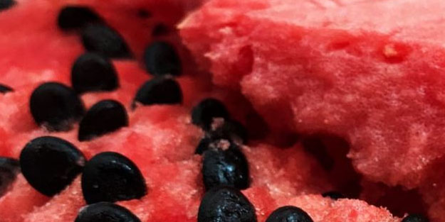 Amerikalı bilim insanları karpuz çekirdeğinin peşine düştü! Antidepresan ilaç çıktı