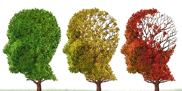 ABD'li bilim insanları tarihi keşif diyerek duyurdu: 86 farklı insanda test alzheimer için umut verdi!