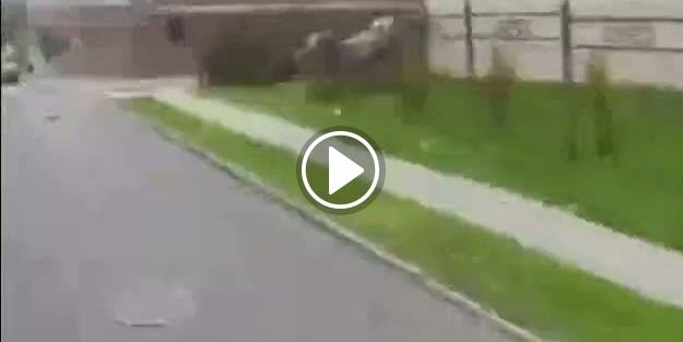 ABD'li gençten inanılmaz hareketler!