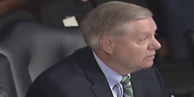 ABD'li senatör: Türklerin bize kızgın olması şaşırtıcı mı?