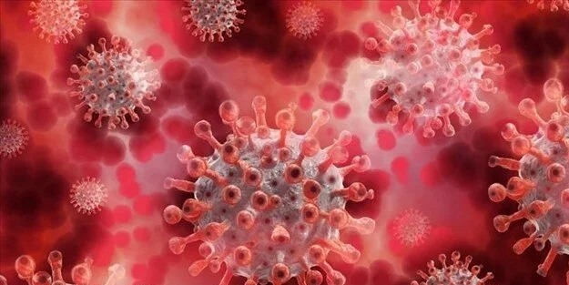 ABD'li uzmanlardan nadir görülen bakteriyel bir hastalık uyarısı geldi! Hızla yayılıyor, tehlike var