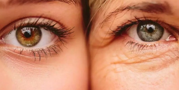 ABD'li ve İspanyol bilim insanlarından şoke eden araştırma: Yeşil alanlar yaşlanmayı yavaşlatıyor!