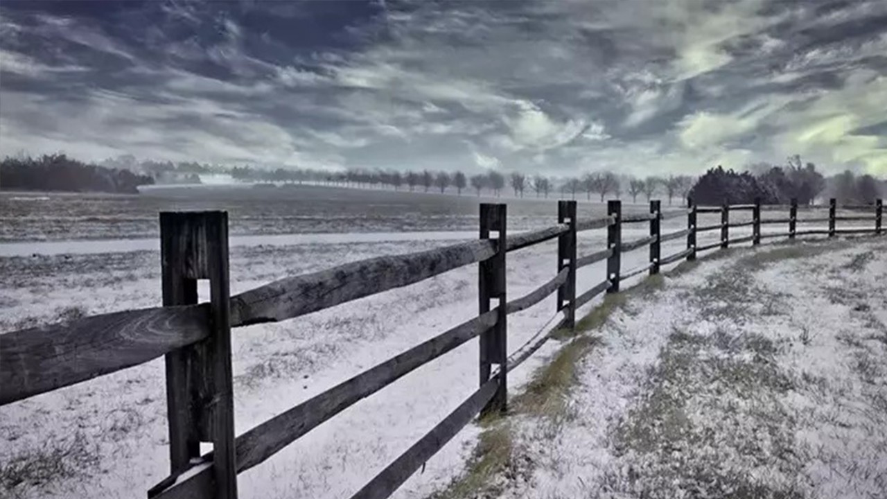 ABD’nin 5 eyaletinde OHAL ilan edildi