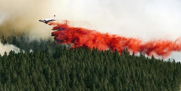 ABD'de acil durum ilan edildi