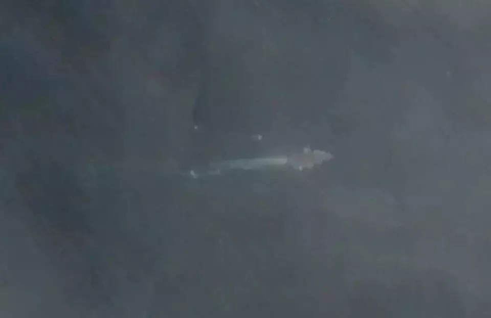 ABD’nin dev savaş gemisi İran sınırında! USS Carl Vinson uyduya yakalandı