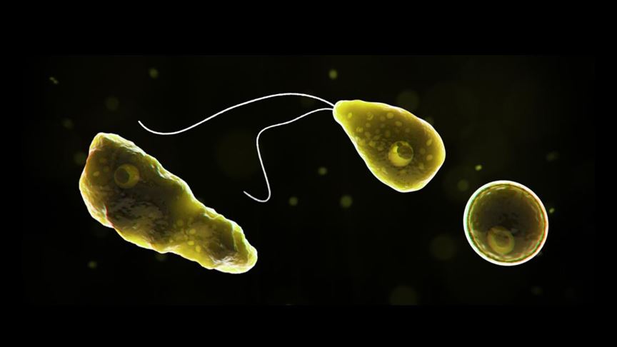 ABD'nin Florida eyaletinde 