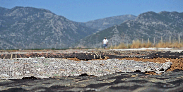 ABD'nin gözü kulağı Türkiye'deki bu tarlada! Ekim yapmak ya da biçmek yok