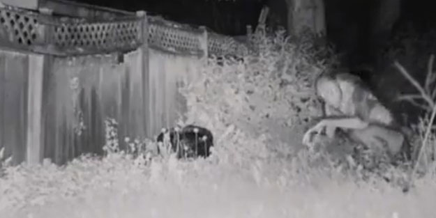 ABD'yi karıştıran uzaylı iddiası