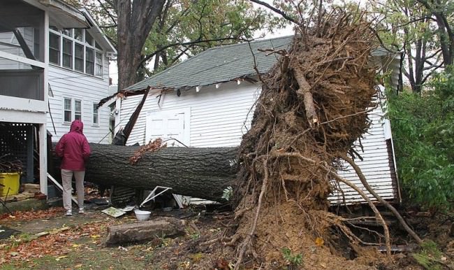 ABD'yi kasırga vurdu! 6 ölü