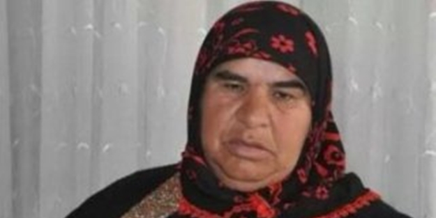 Abla Öcalan'dan kendini bilmez açıklama