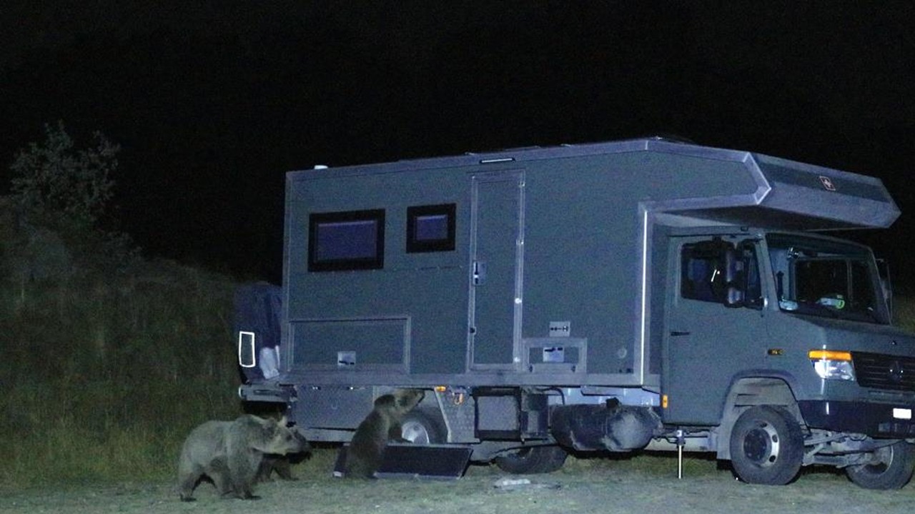 Aç ayılar turistlerin karavanlarına dadandı