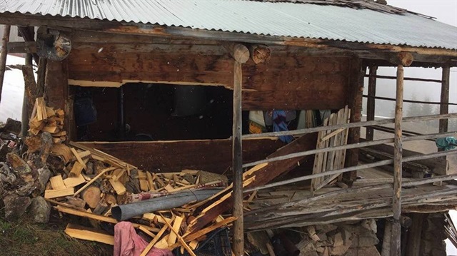 Aç kalan ayılar 15 evi parçaladı